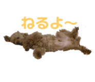 404020566