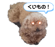 404020570