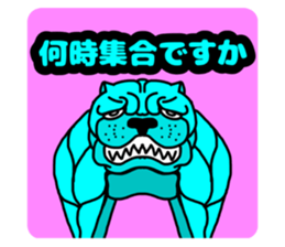 404027503
