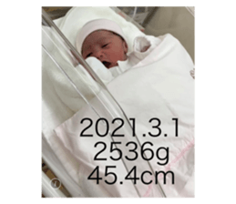 404029037