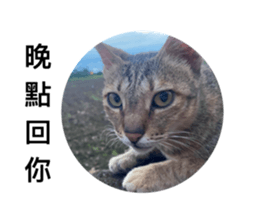 404052815