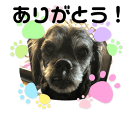 404090016