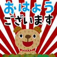 404107546
