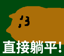 404108335