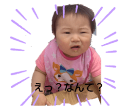 404119334