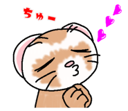 404122620