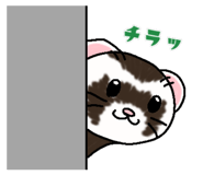 404122624