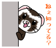 404122625