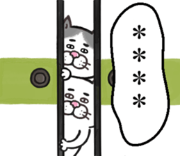 404128269