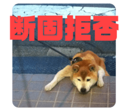 404135693