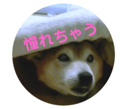 404135708