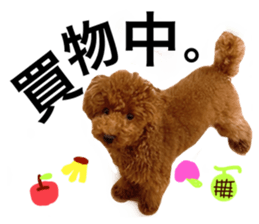 404137172