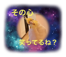 404141325