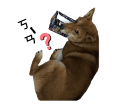 404191676