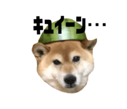 404191773