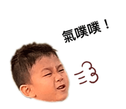 404193254