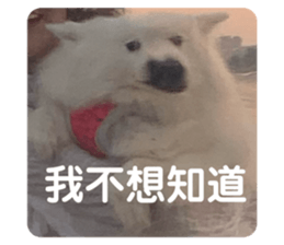 404200109