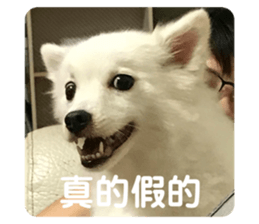 404200119