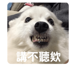 404200125