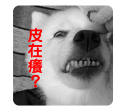 404200137