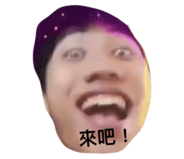 404203305