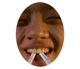 404203316