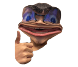 404203317
