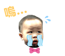 404208027