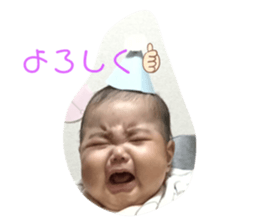 404233237