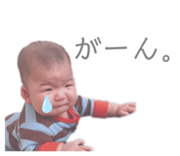 404250627