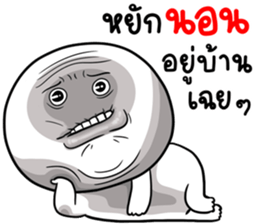 404263736