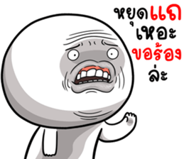 404263754