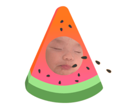 404284628