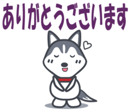 404315580