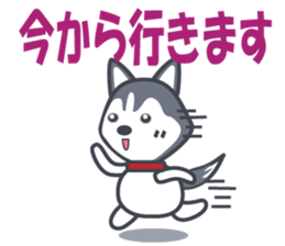 404315605