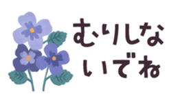 404315893