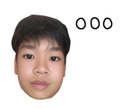 404341381