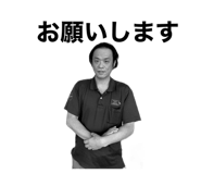 404348287
