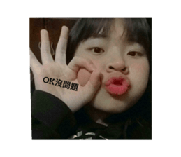 404371537