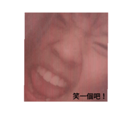 404371538