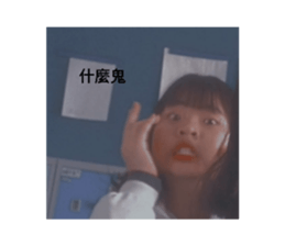 404371544