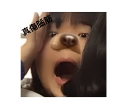 404371549
