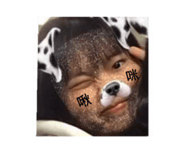 404371550