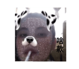 404371551