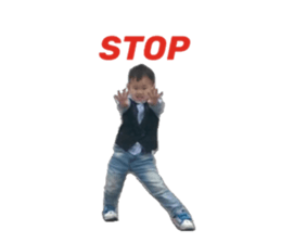 404425311
