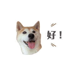 404458992