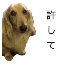 404550100