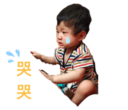 404565025