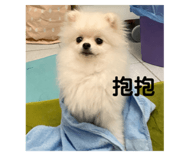 404569920