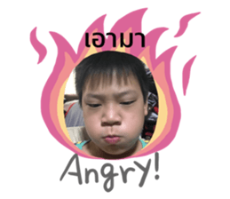 404603268